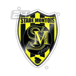 Stade Montois
